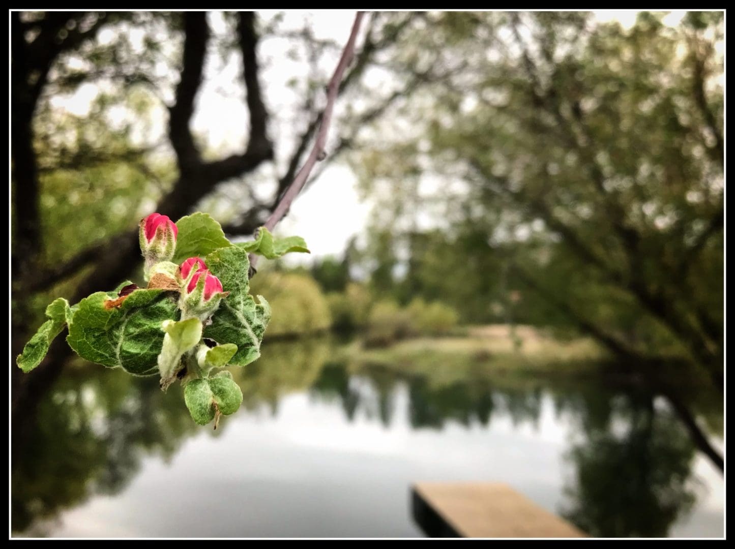 New Now Creative: Photography