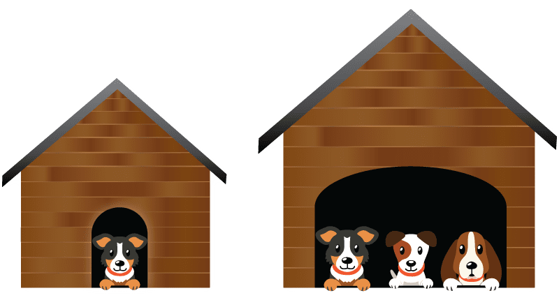 New Now Creative: Dedicated vs Shared Hosting